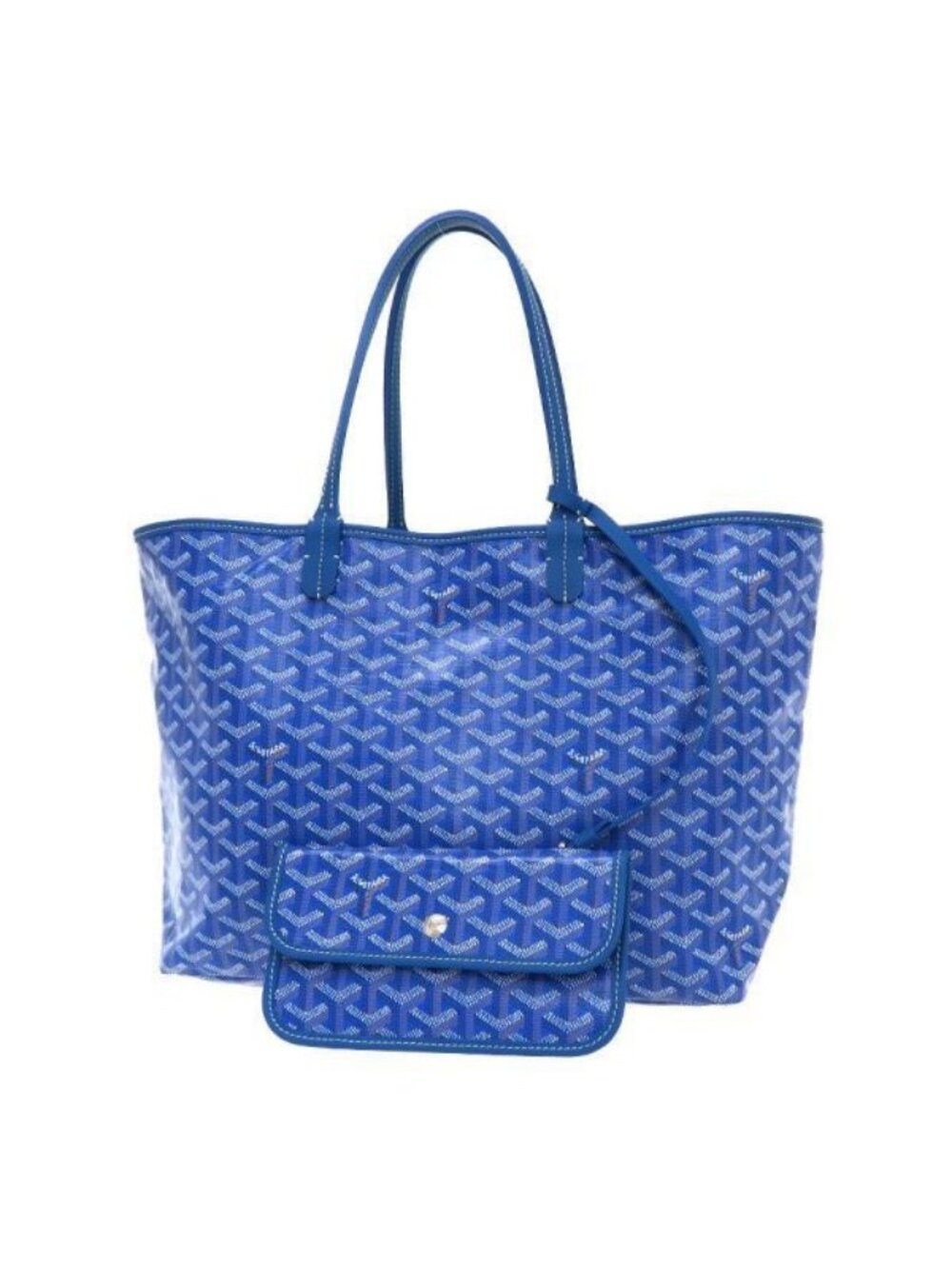 Goyard Saint Louis PM Bag